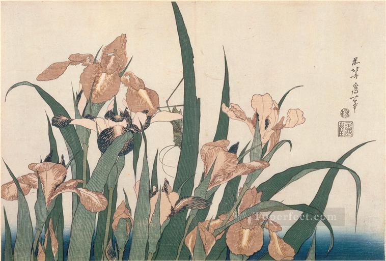 irises and grasshopper Katsushika Hokusai Ukiyoe Oil Paintings